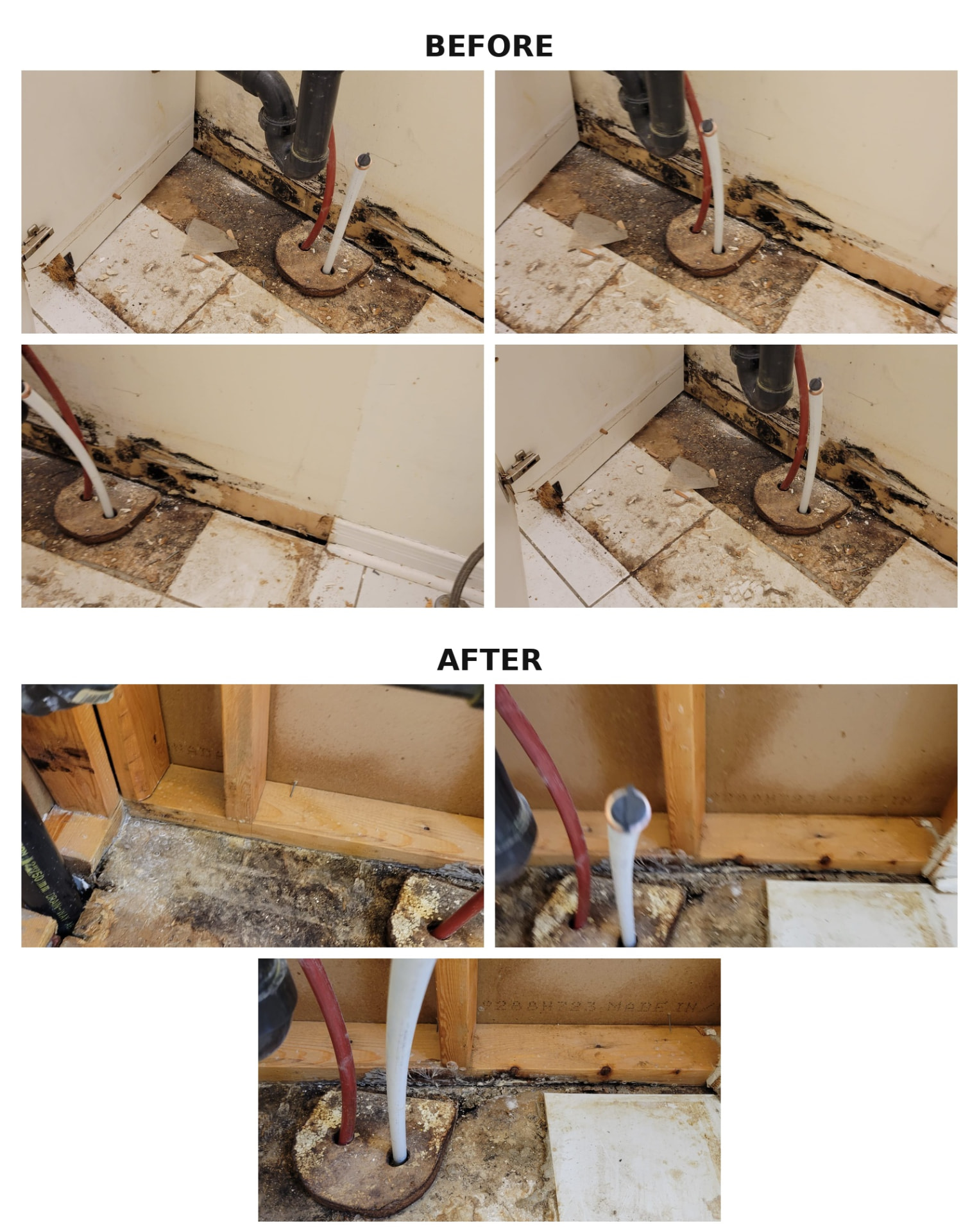 Bathroom Mold & Water Damage — before and after