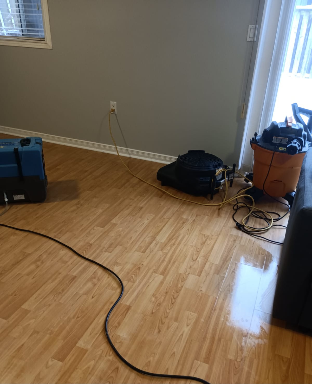 Dehumidifier and air movers in living area