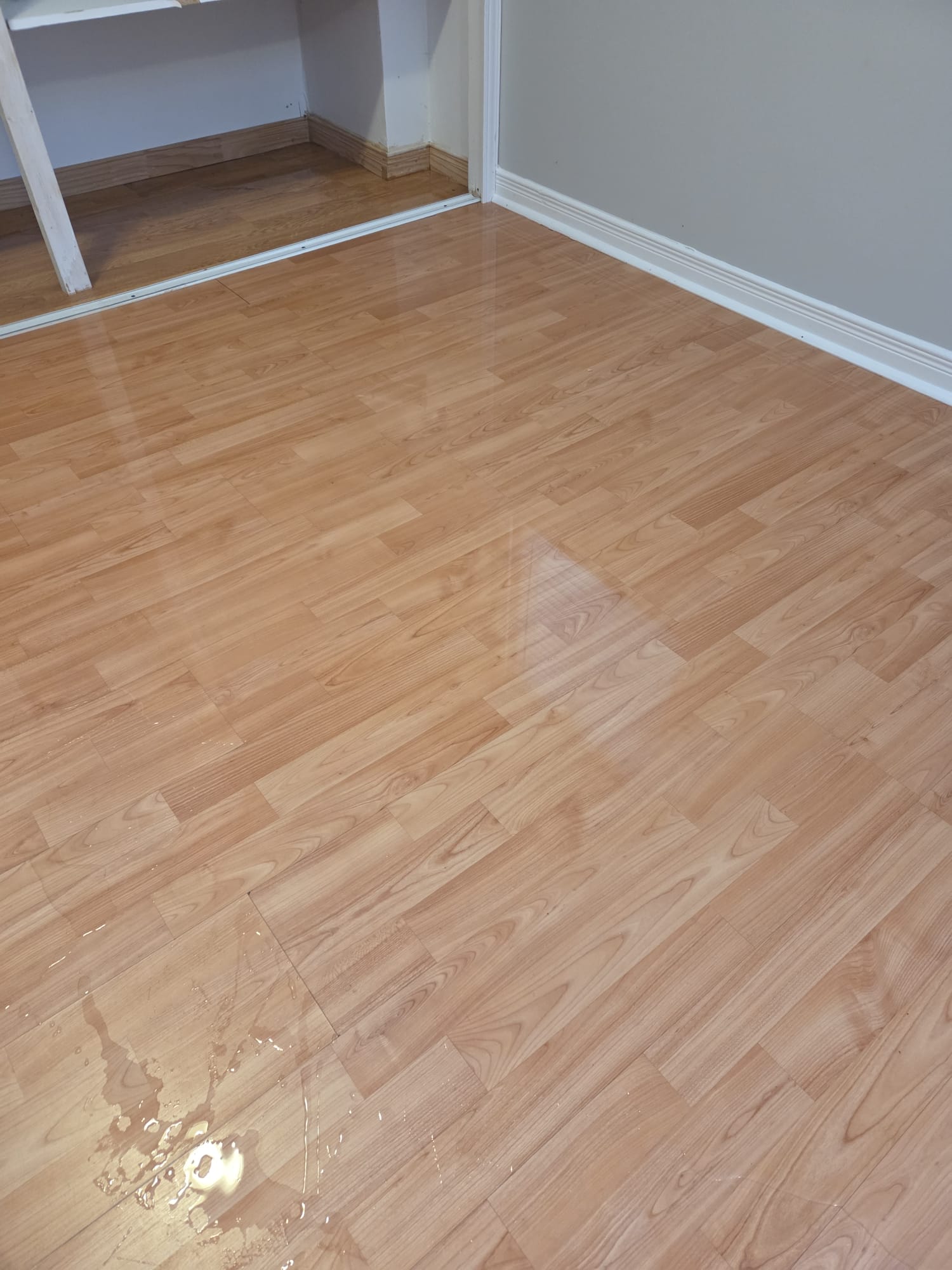 Restored, clean and dry flooring