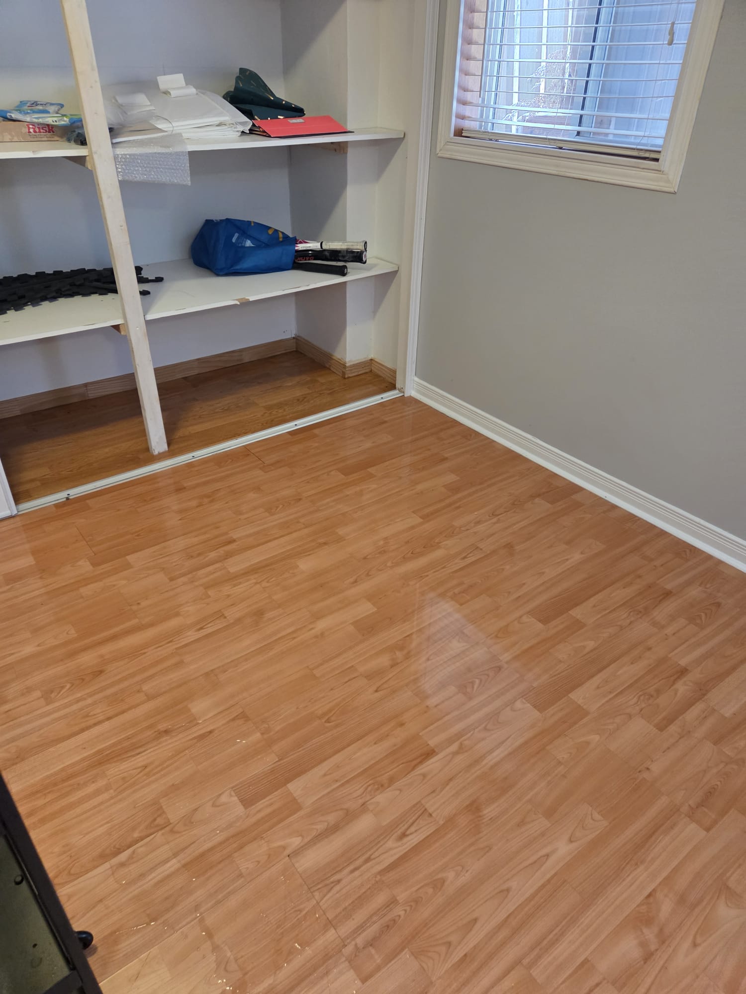 Floor after extraction and drying